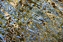 BUITEN BEELD Foto: 294202