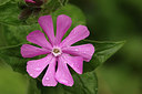 BUITEN BEELD Foto: 294204