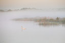 BUITEN BEELD Foto: 294260