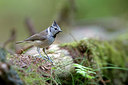 BUITEN BEELD Foto: 294262