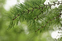 BUITEN BEELD Foto: 294270