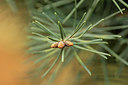BUITEN BEELD Foto: 294273