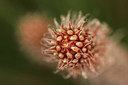 BUITEN BEELD Foto: 294283