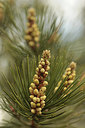 BUITEN BEELD Foto: 294301