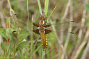 BUITEN BEELD Foto: 294362