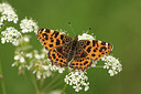 BUITEN BEELD Foto: 294370