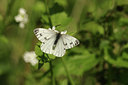 BUITEN BEELD Foto: 294387