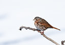 BUITEN BEELD Foto: 294410