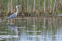BUITEN BEELD Foto: 294530