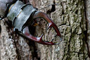 BUITEN BEELD Foto: 294567