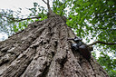 BUITEN BEELD Foto: 294570