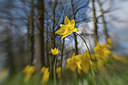 BUITEN BEELD Foto: 294583