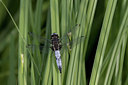 BUITEN BEELD Foto: 294637