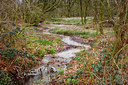 BUITEN BEELD Foto: 294656