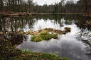 BUITEN BEELD Foto: 294665