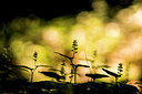BUITEN BEELD Foto: 294670