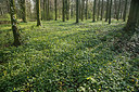 BUITEN BEELD Foto: 294710