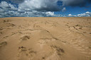 BUITEN BEELD Foto: 294714