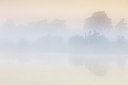 BUITEN BEELD Foto: 294834