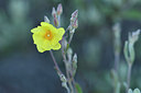 BUITEN BEELD Foto: 294952