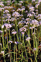 BUITEN BEELD Foto: 294982