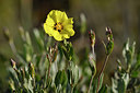 BUITEN BEELD Foto: 294996