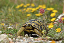 BUITEN BEELD Foto: 295001