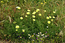 BUITEN BEELD Foto: 295006