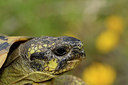 BUITEN BEELD Foto: 295007