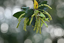 BUITEN BEELD Foto: 295014