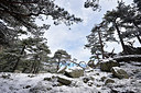 BUITEN BEELD Foto: 295021
