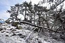 BUITEN BEELD Foto: 295023