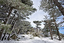BUITEN BEELD Foto: 295025
