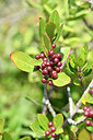 BUITEN BEELD Foto: 295028