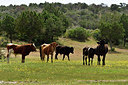 BUITEN BEELD Foto: 295061