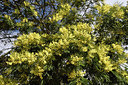 BUITEN BEELD Foto: 295063