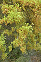 BUITEN BEELD Foto: 295104