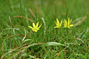 BUITEN BEELD Foto: 295130