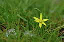 BUITEN BEELD Foto: 295134