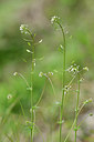 BUITEN BEELD Foto: 295148