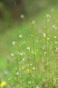 BUITEN BEELD Foto: 295156
