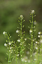 BUITEN BEELD Foto: 295158