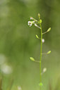 BUITEN BEELD Foto: 295160