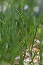 BUITEN BEELD Foto: 295176