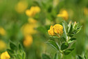 BUITEN BEELD Foto: 295179