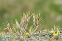 BUITEN BEELD Foto: 295191