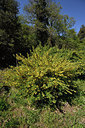 BUITEN BEELD Foto: 295200