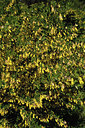BUITEN BEELD Foto: 295201