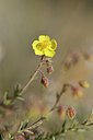 BUITEN BEELD Foto: 295215