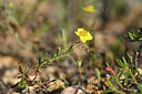 BUITEN BEELD Foto: 295217